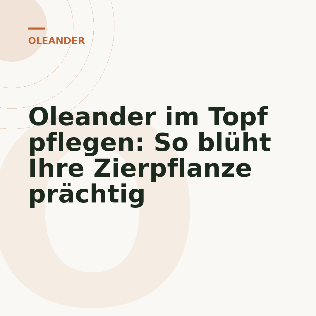Oleander im Topf pflegen: So blüht Ihre Zierpflanze prächtig