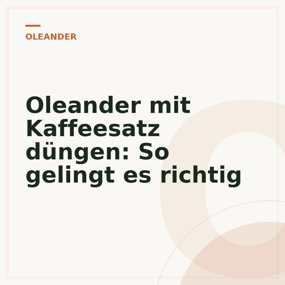 Oleander mit Kaffeesatz düngen: So gelingt es richtig