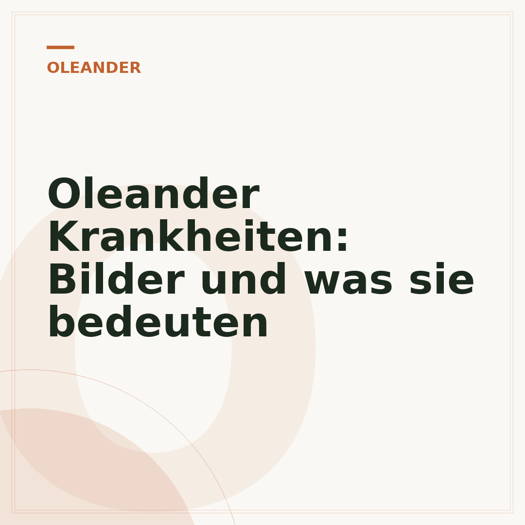 Oleander Krankheiten: Bilder und was sie bedeuten
