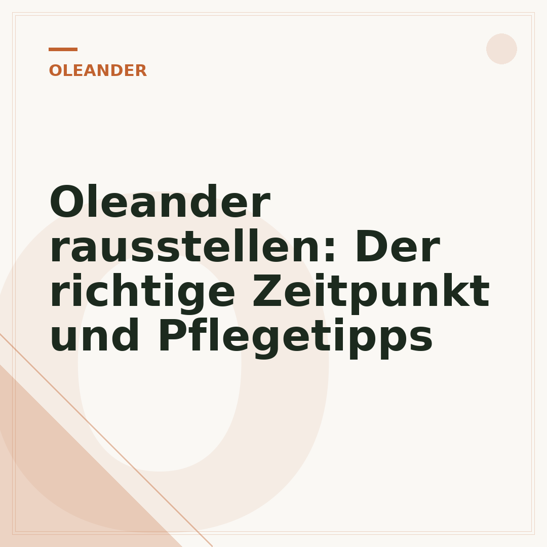 Oleander rausstellen: Der richtige Zeitpunkt und Pflegetipps