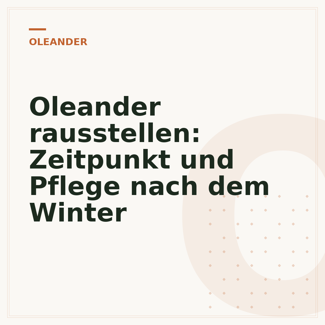 Oleander rausstellen: Zeitpunkt und Pflege nach dem Winter