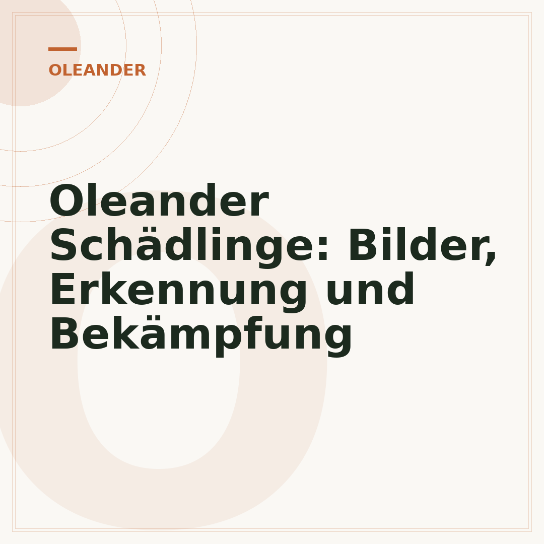 Oleander Schädlinge: Bilder, Erkennung und Bekämpfung