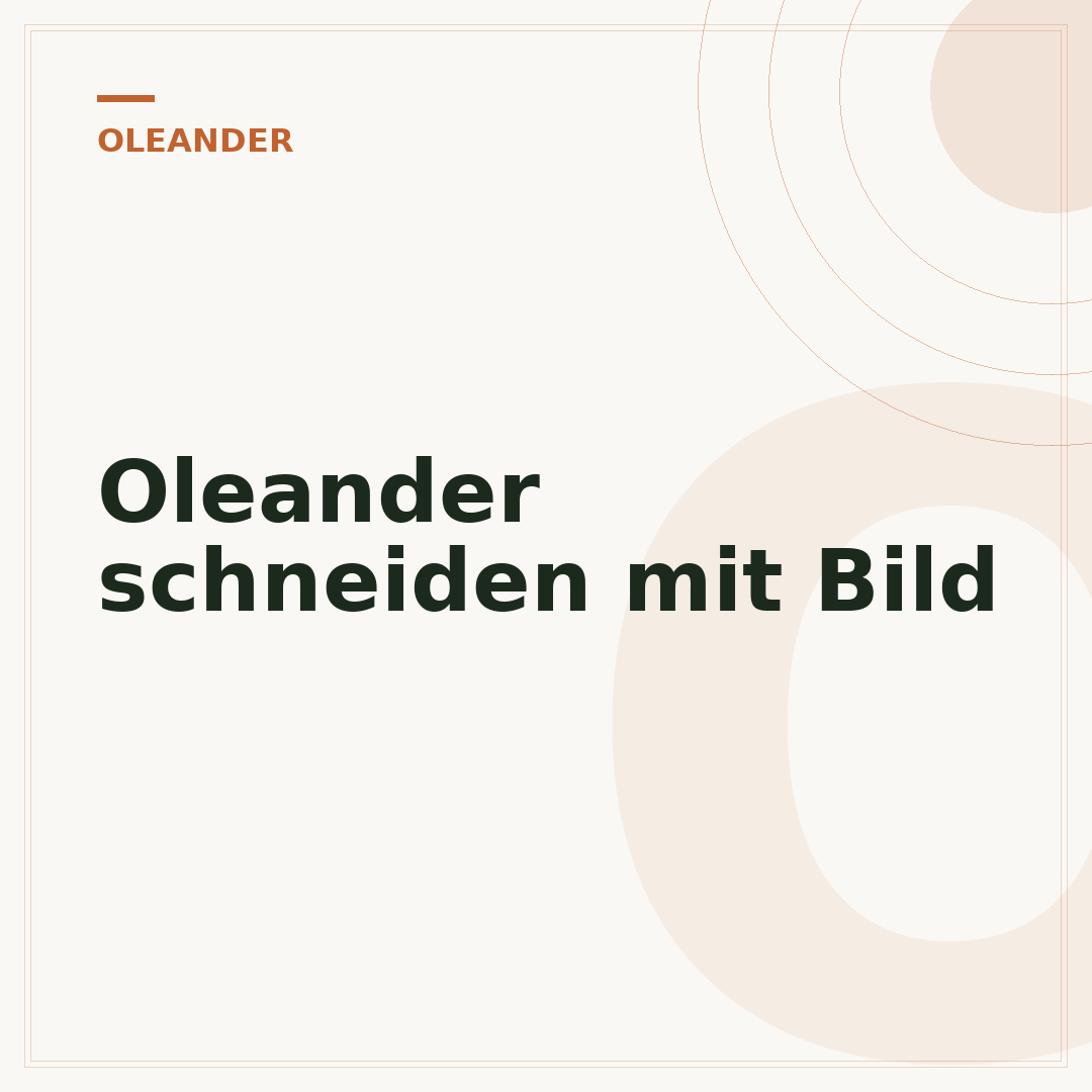 Oleander schneiden mit Bild