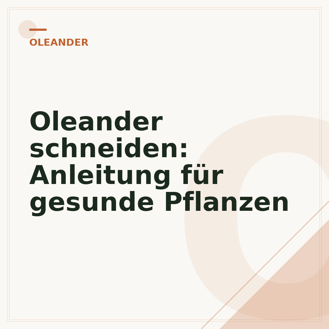 Oleander schneiden: Anleitung für gesunde Pflanzen
