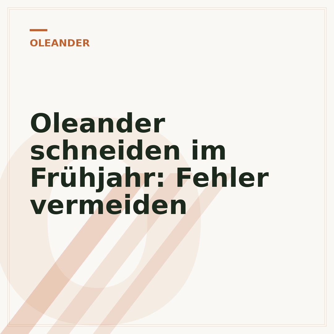 Oleander schneiden im Frühjahr: Fehler vermeiden
