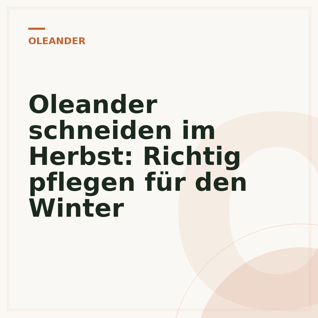 Oleander schneiden im Herbst: Richtig pflegen für den Winter