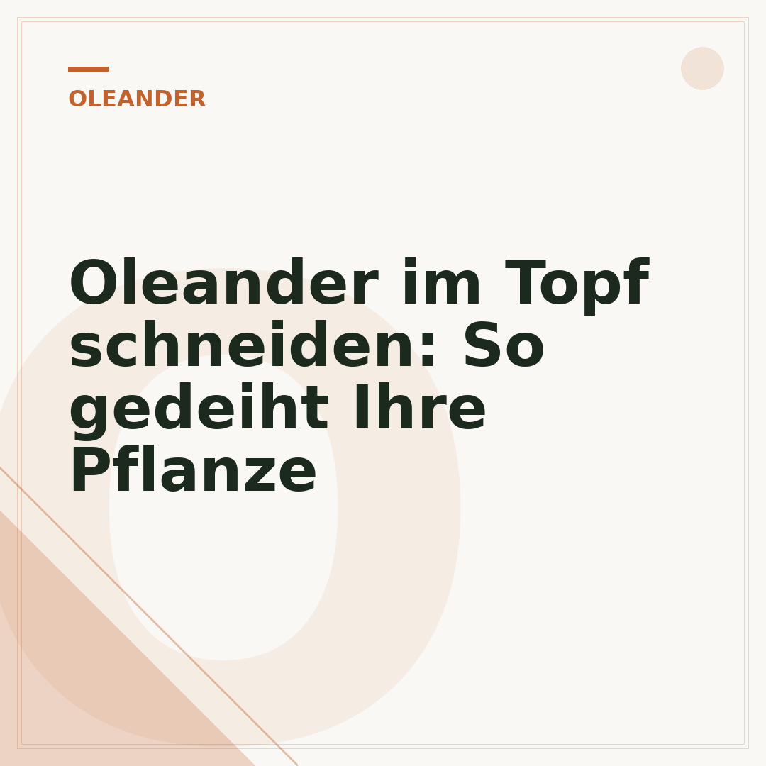 Oleander im Topf schneiden: So gedeiht Ihre Pflanze