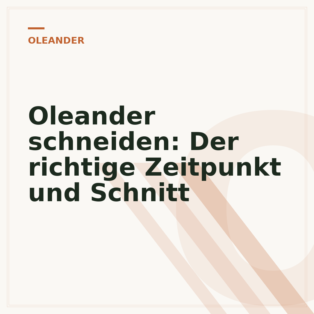 Oleander schneiden: Der richtige Zeitpunkt und Schnitt