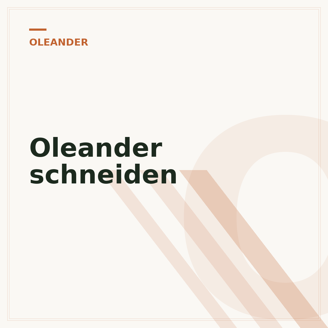 Oleander schneiden