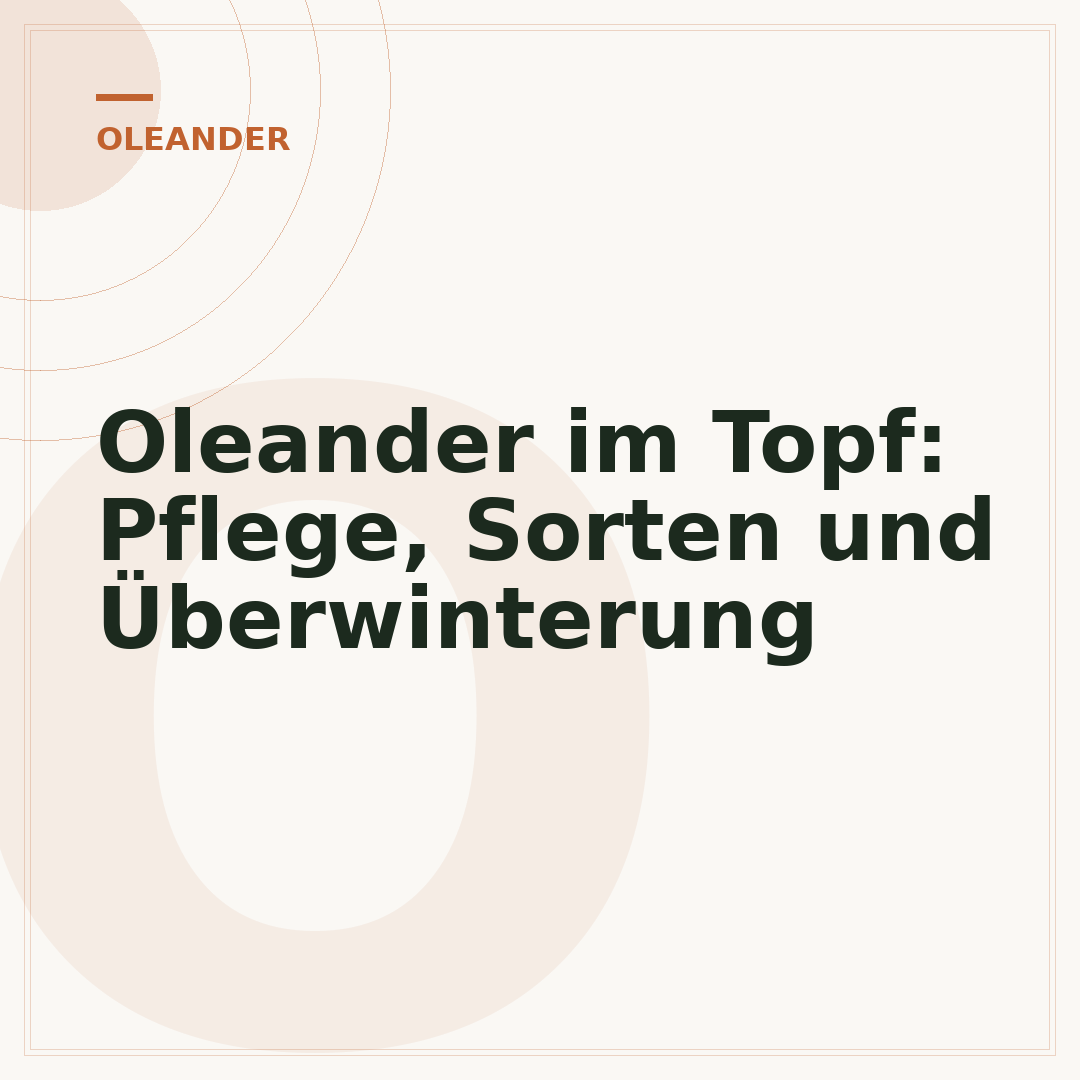 Oleander im Topf: Pflege, Sorten und Überwinterung