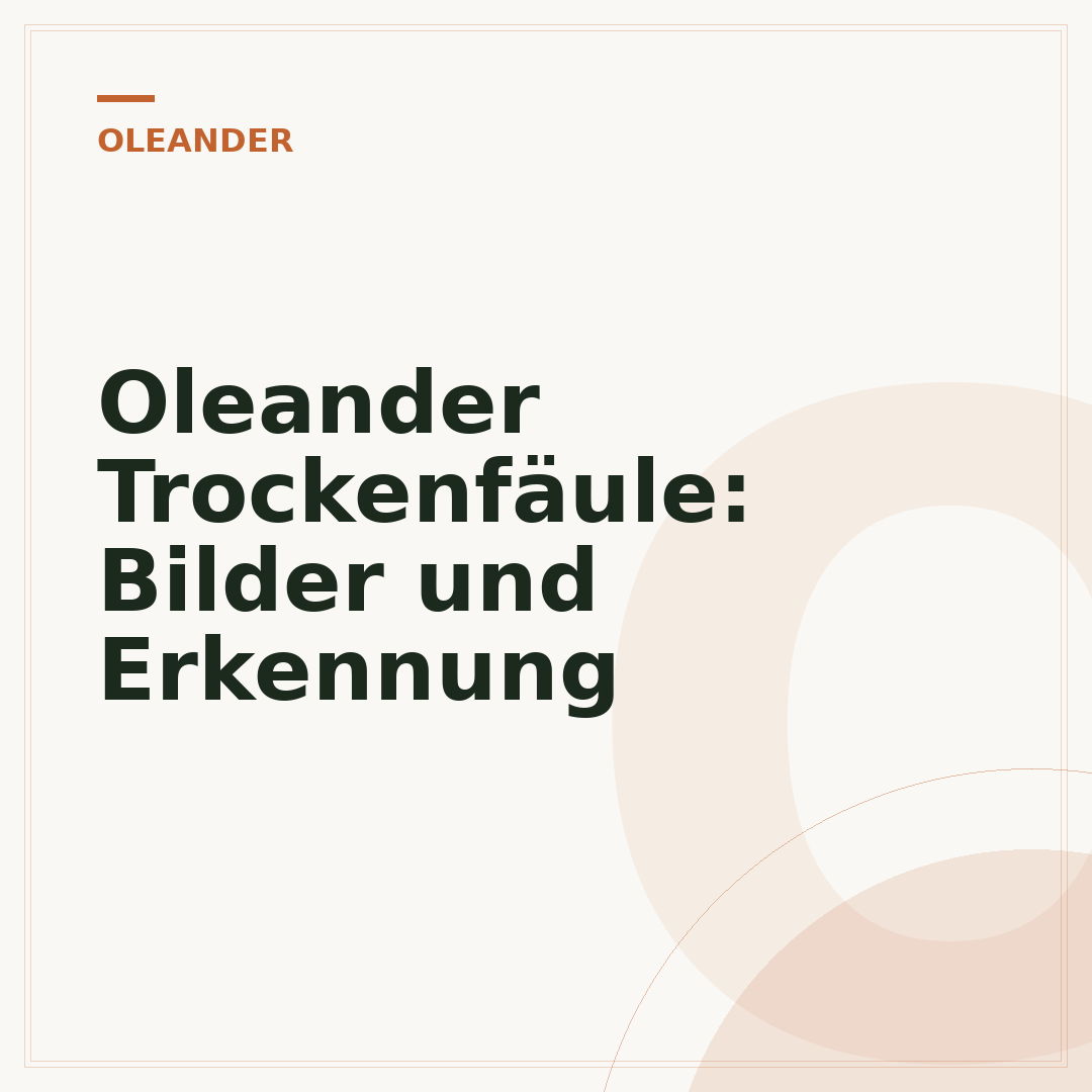 Oleander Trockenfäule: Bilder und Erkennung