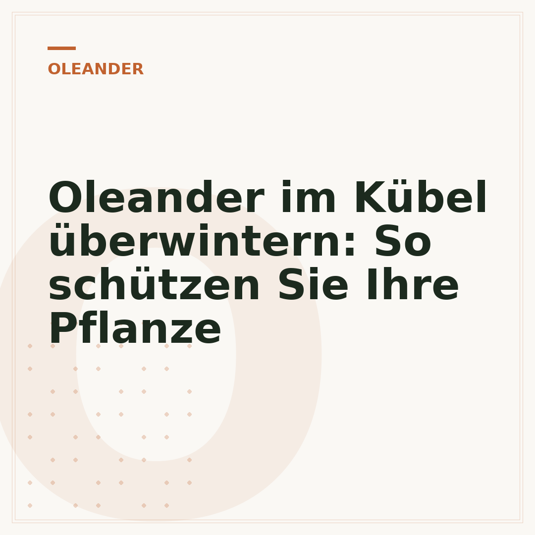 Oleander im Kübel überwintern: So schützen Sie Ihre Pflanze