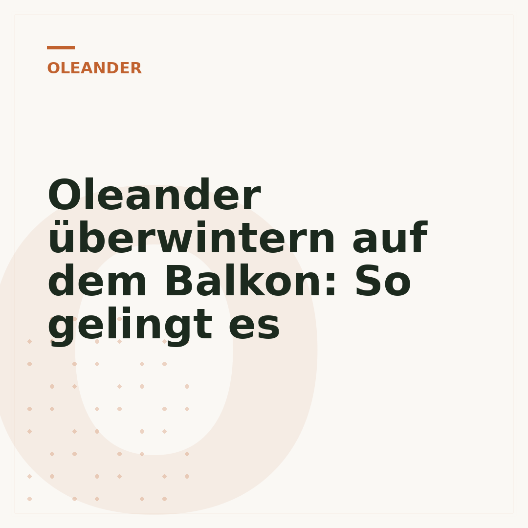 Oleander überwintern auf dem Balkon: So gelingt es