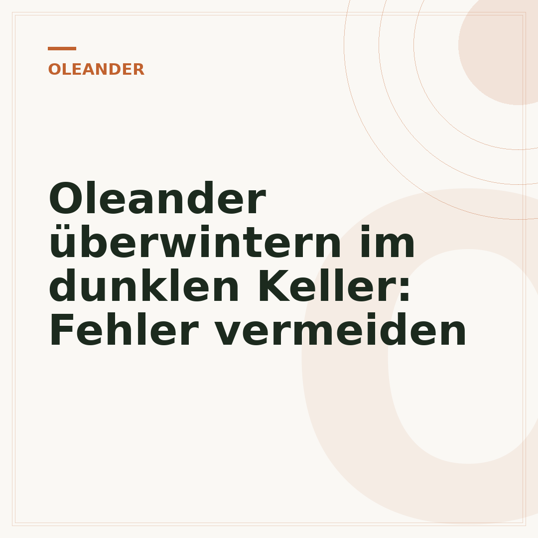 Oleander überwintern im dunklen Keller: Fehler vermeiden