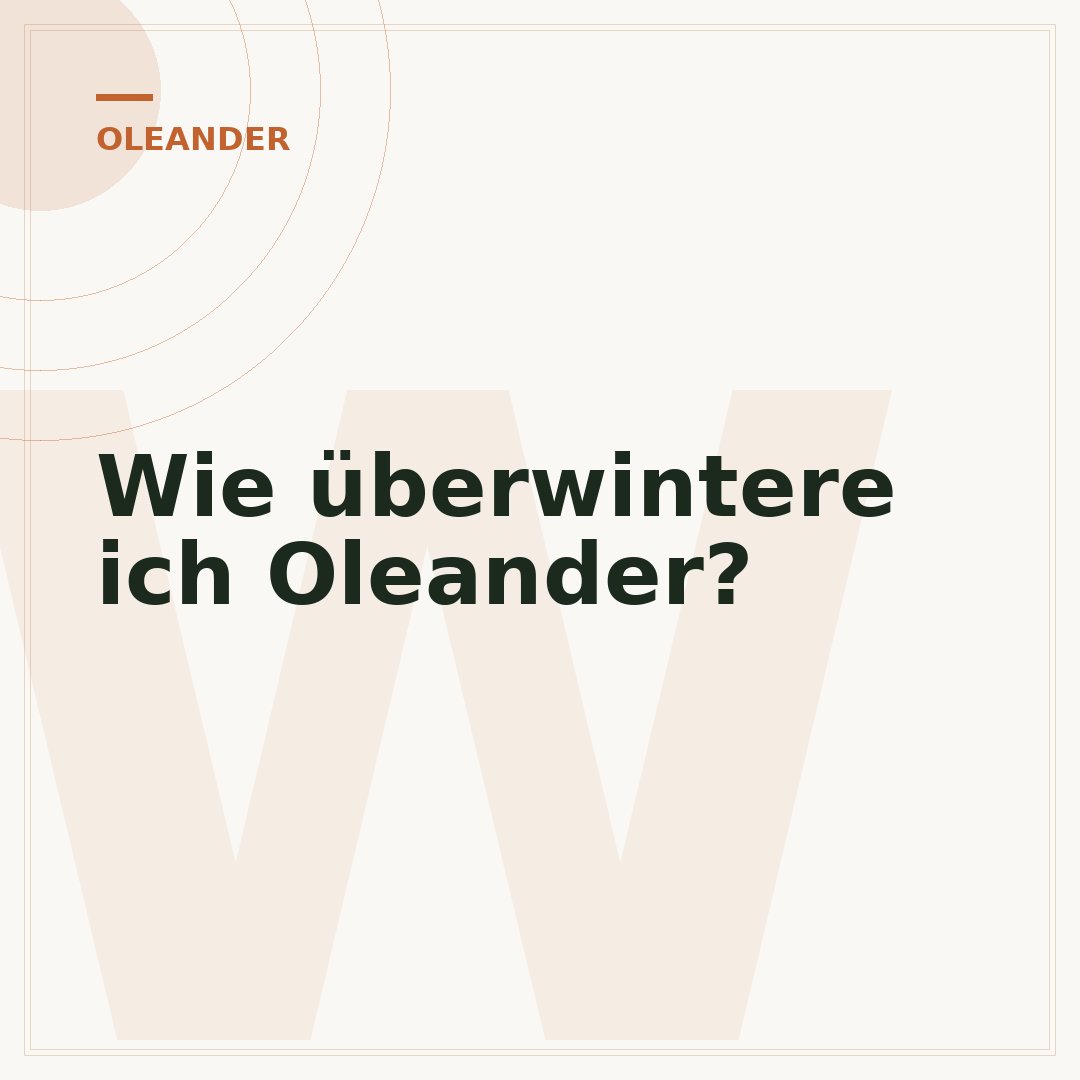 Wie überwintere ich Oleander?