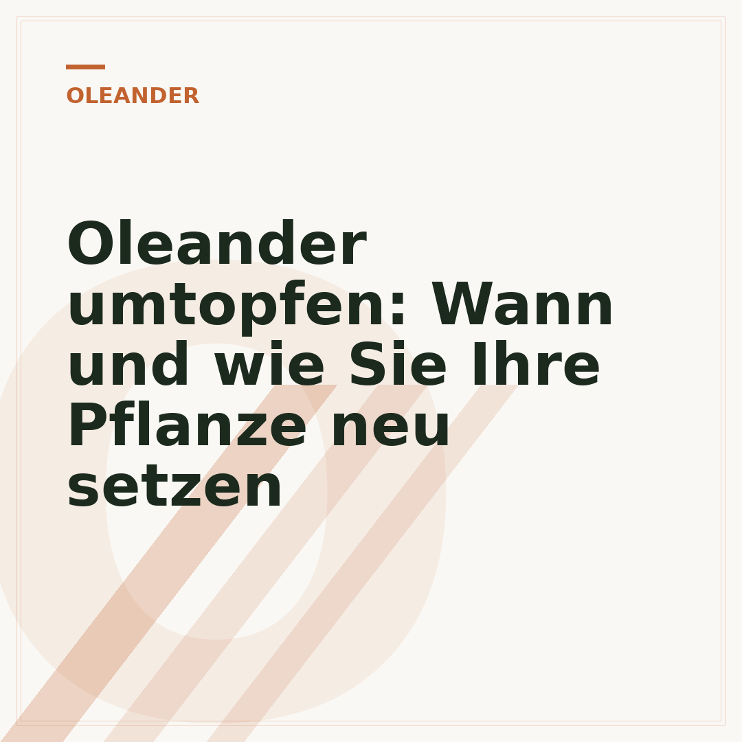 Oleander umtopfen: Wann und wie Sie Ihre Pflanze neu setzen