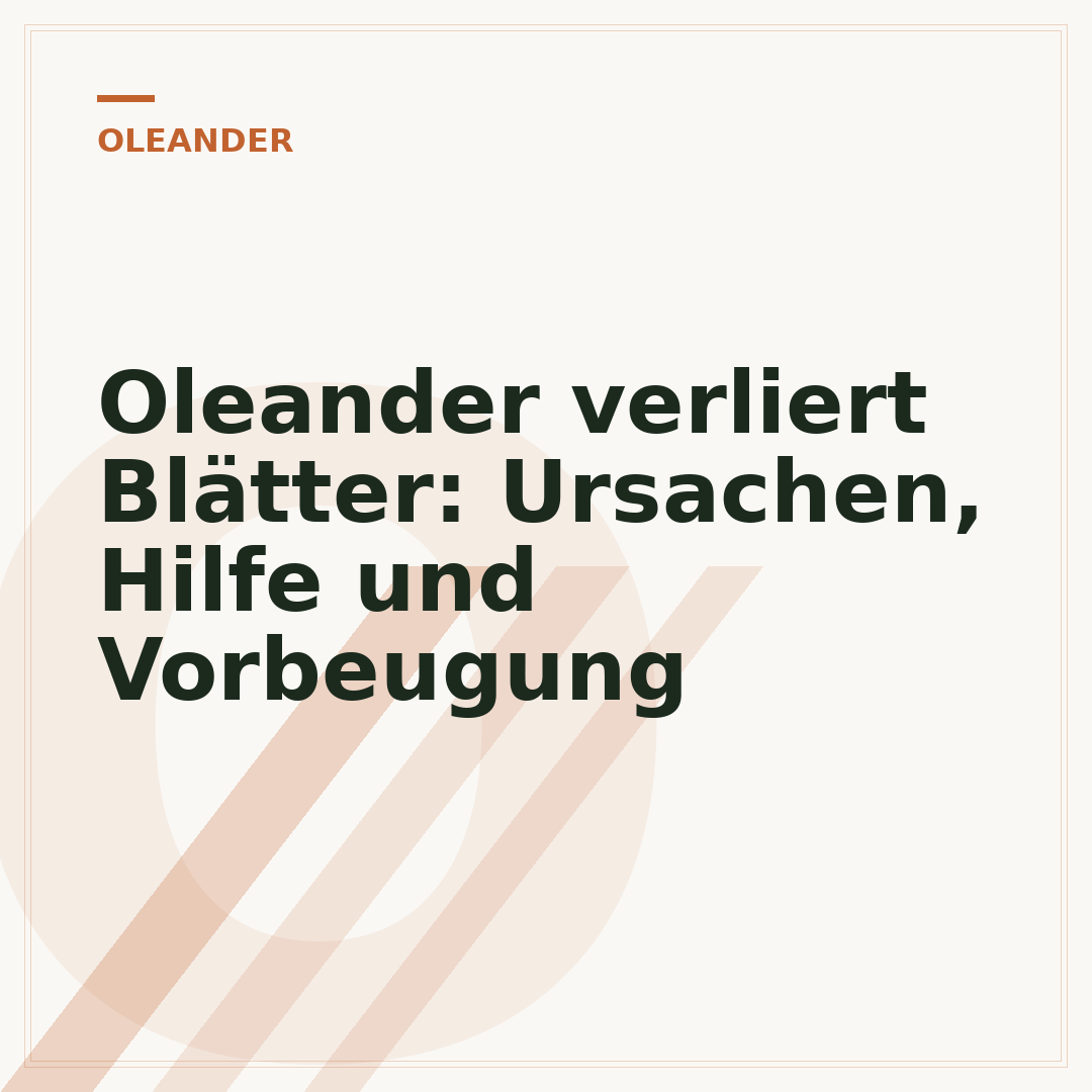 Oleander verliert Blätter: Ursachen, Hilfe und Vorbeugung