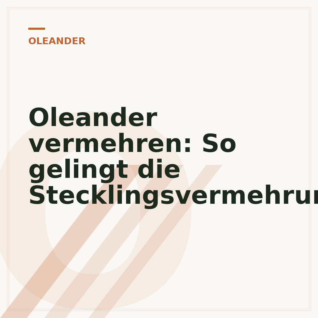 Oleander vermehren: So gelingt die Stecklingsvermehrung