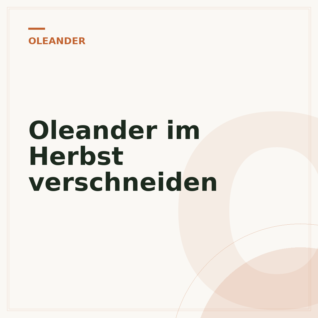 Oleander im Herbst verschneiden
