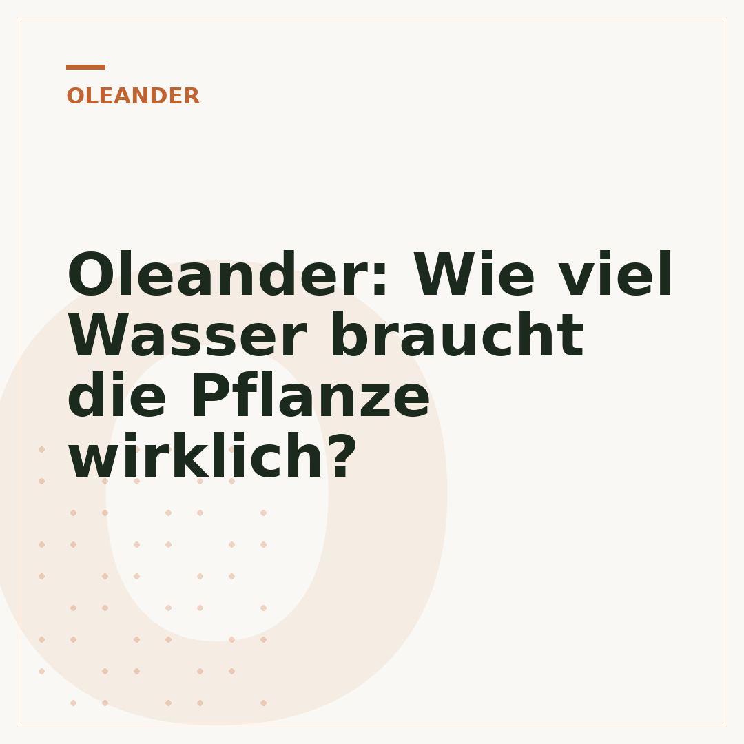 Oleander: Wie viel Wasser braucht die Pflanze wirklich?