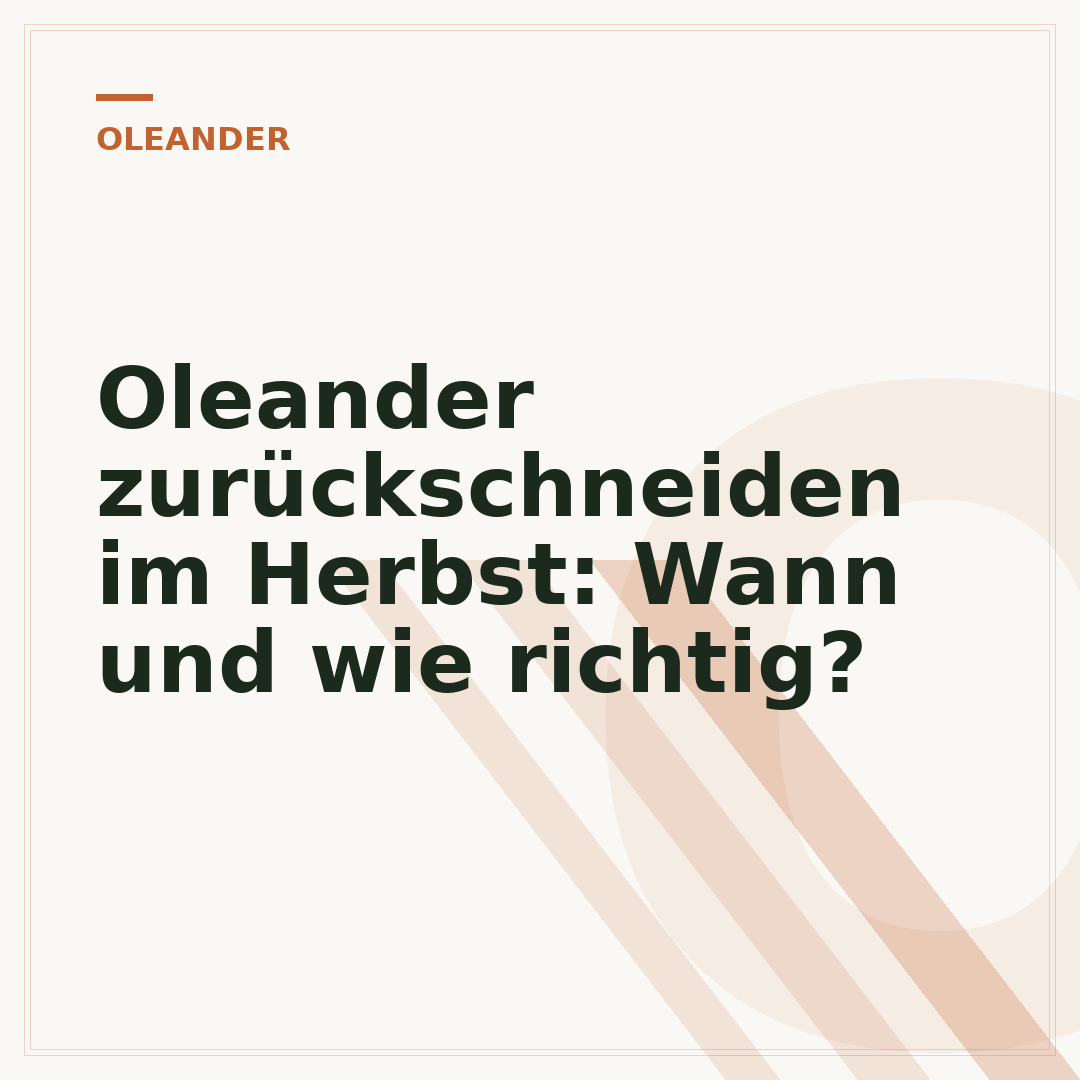 Oleander zurückschneiden im Herbst: Wann und wie richtig?