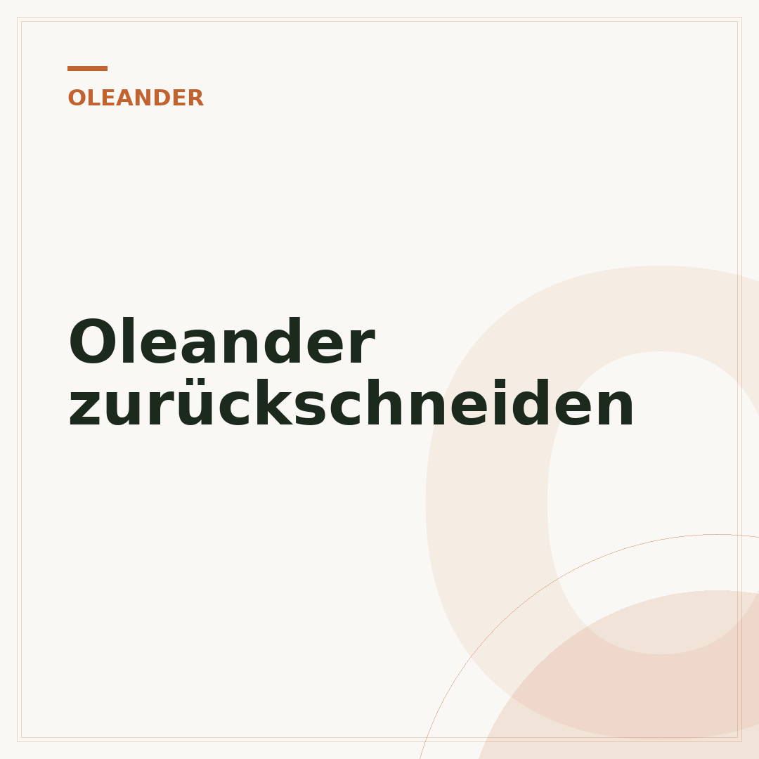 Oleander zurückschneiden