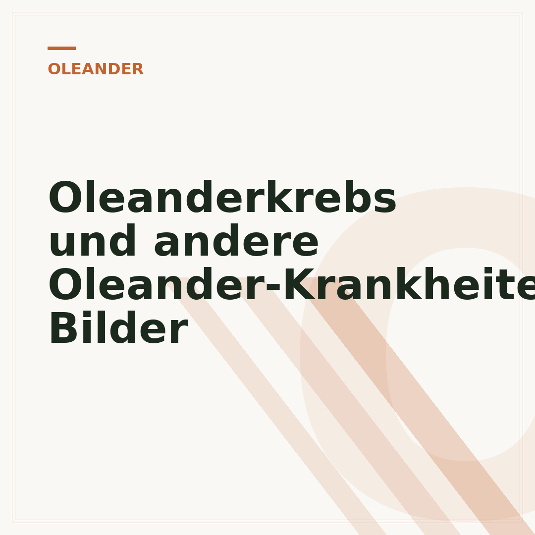 Oleanderkrebs und andere Oleander-Krankheiten: Bilder