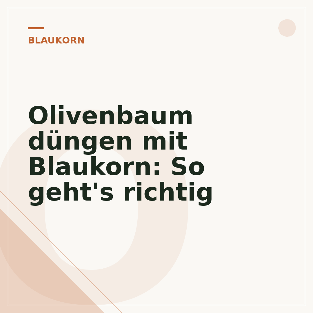 Olivenbaum düngen mit Blaukorn: So geht's richtig