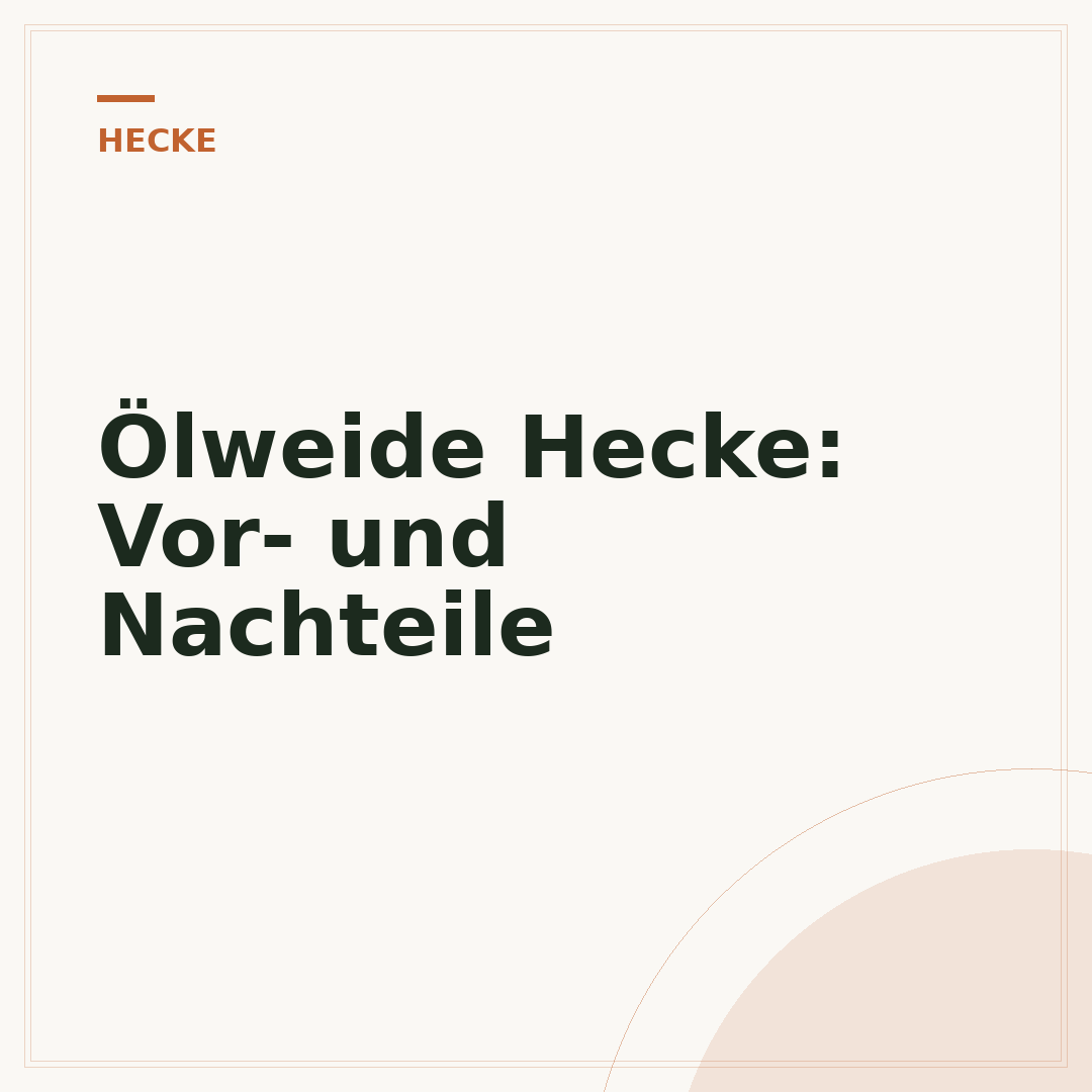 Ölweide Hecke: Vor- und Nachteile