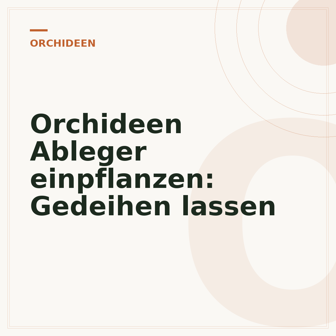 Orchideen Ableger einpflanzen: Gedeihen lassen