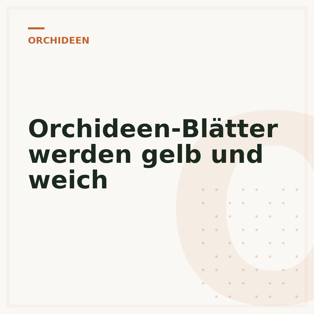 Orchideen-Blätter werden gelb und weich