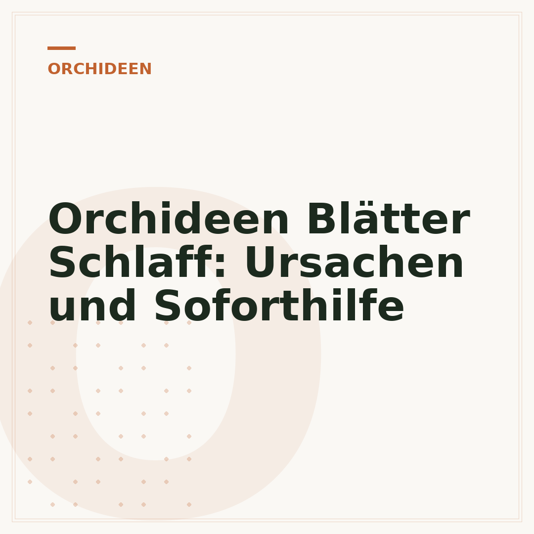Orchideen Blätter Schlaff: Ursachen und Soforthilfe