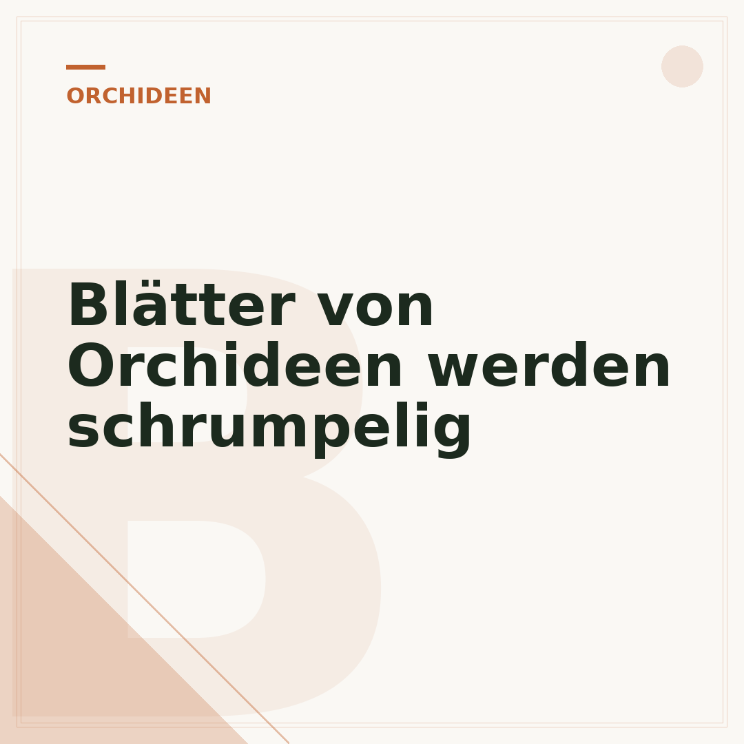 Blätter von Orchideen werden schrumpelig