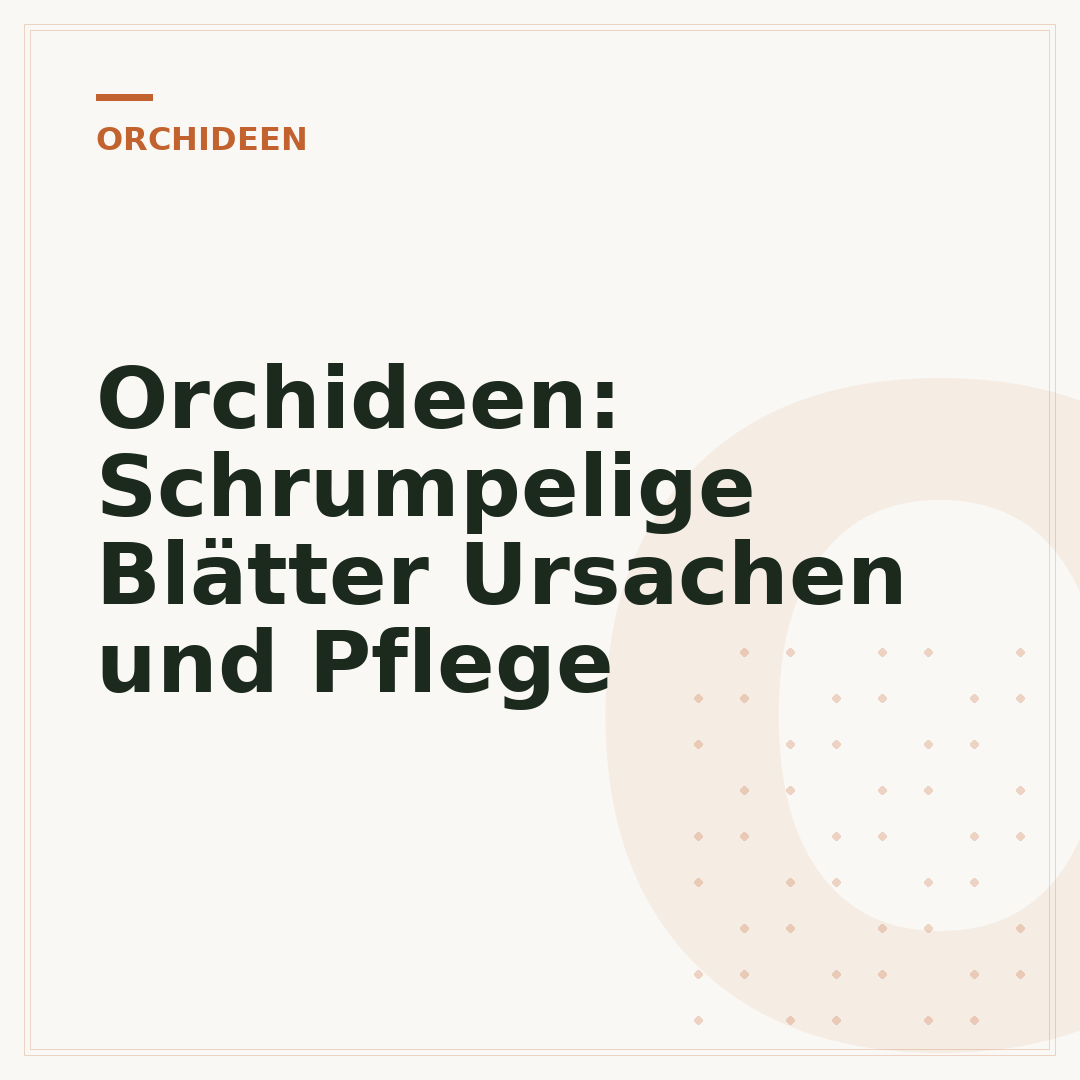 Orchideen: Schrumpelige Blätter Ursachen und Pflege