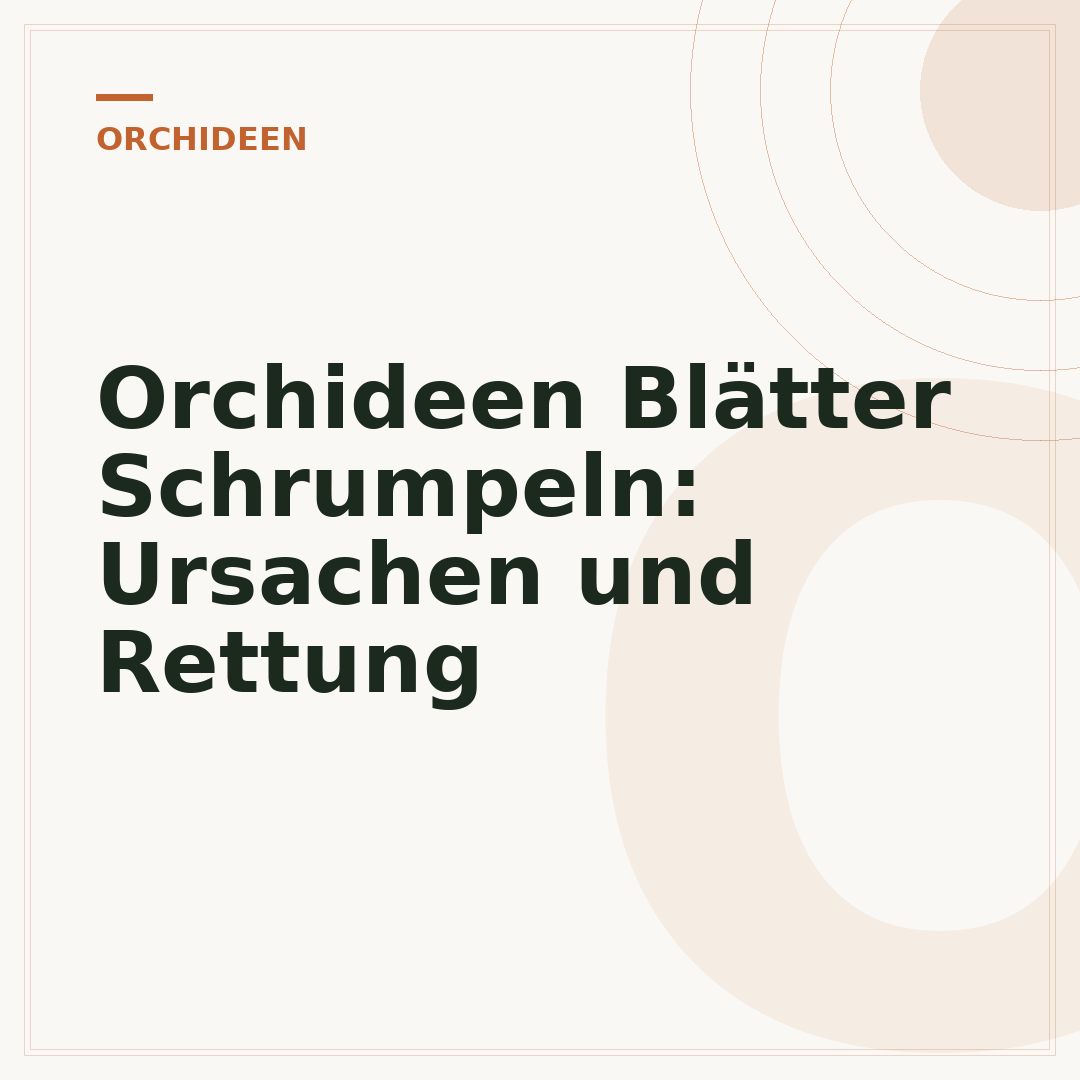 Orchideen Blätter Schrumpeln: Ursachen und Rettung