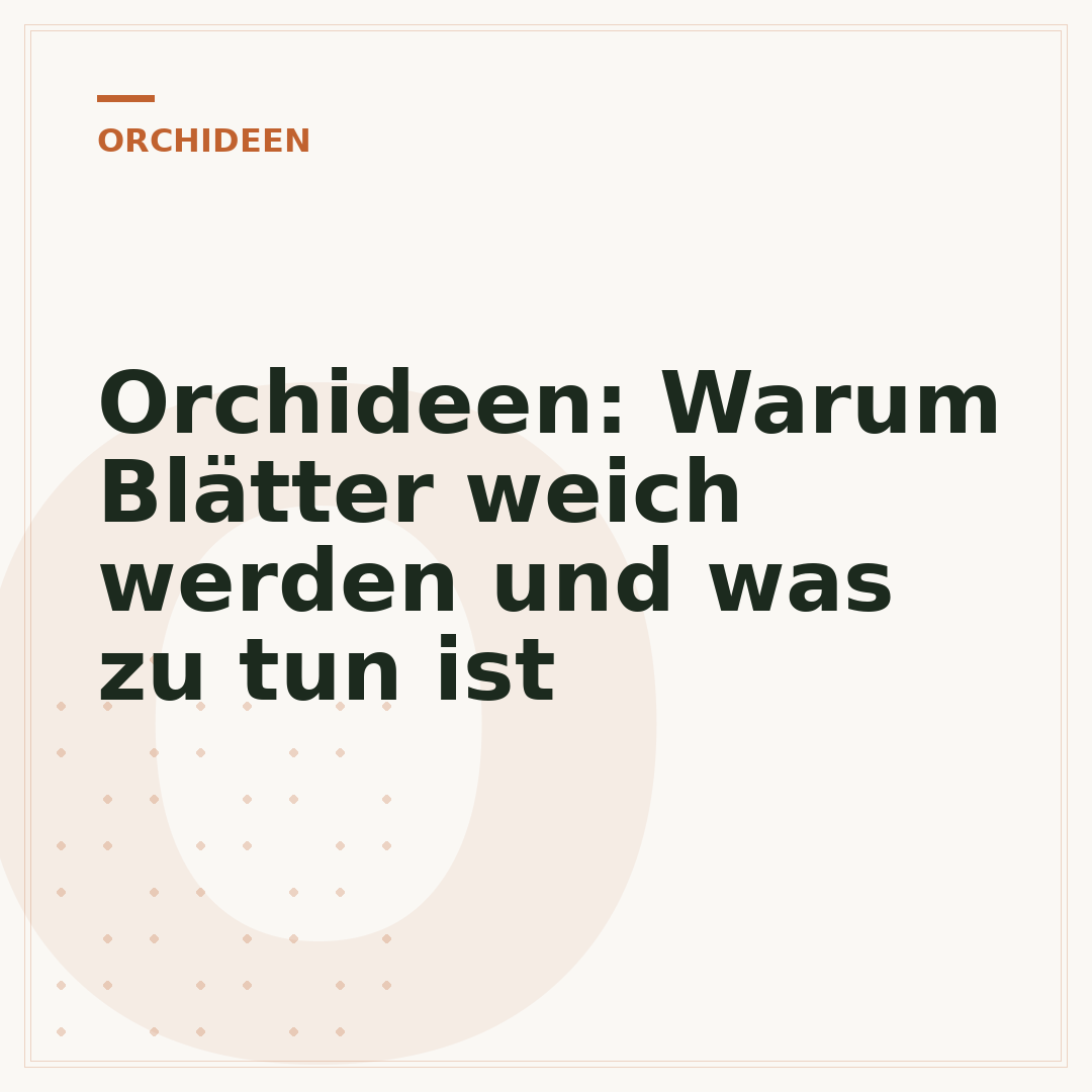 Orchideen: Warum Blätter weich werden und was zu tun ist