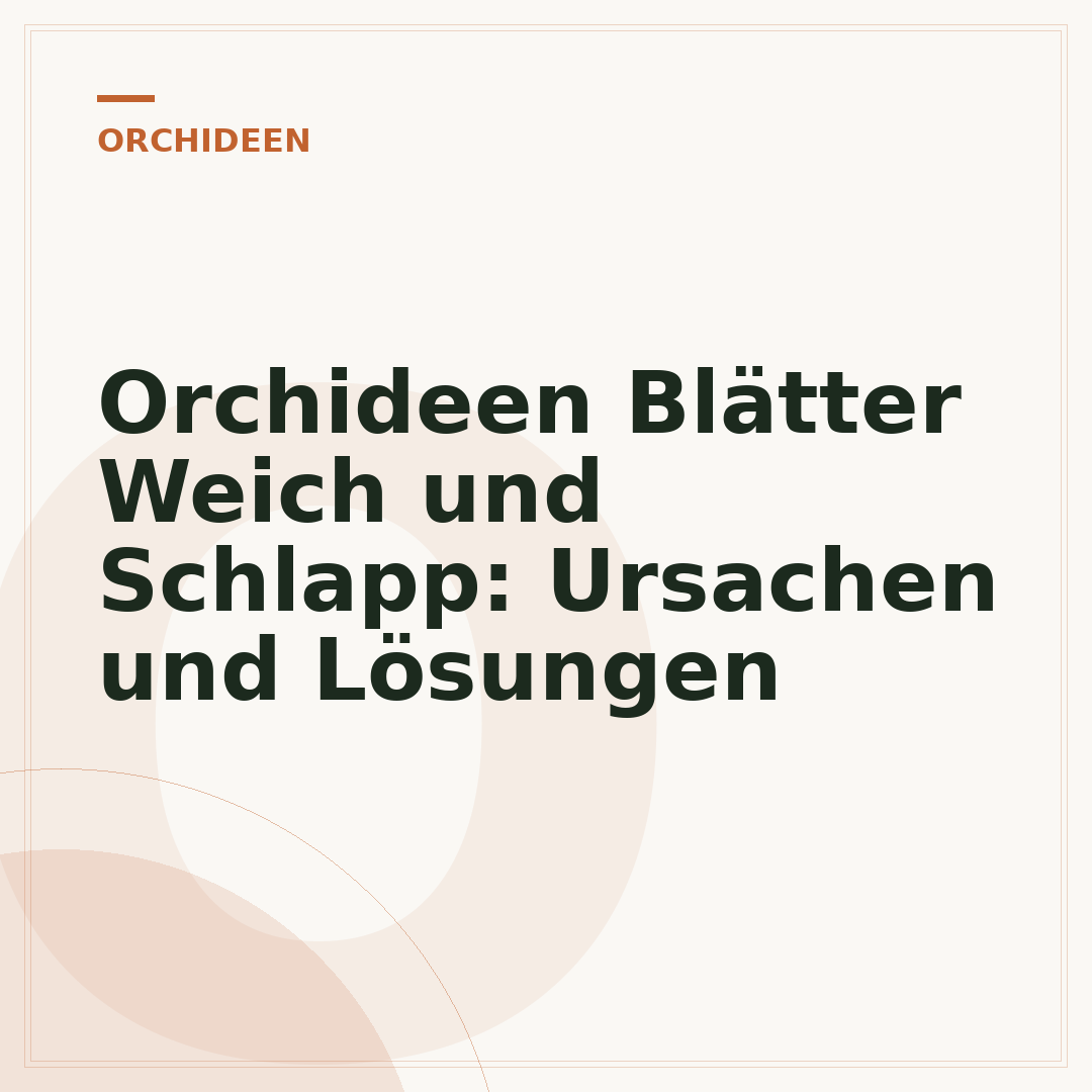 Orchideen Blätter Weich und Schlapp: Ursachen und Lösungen