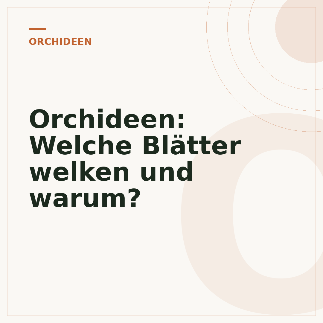 Orchideen: Welche Blätter welken und warum?