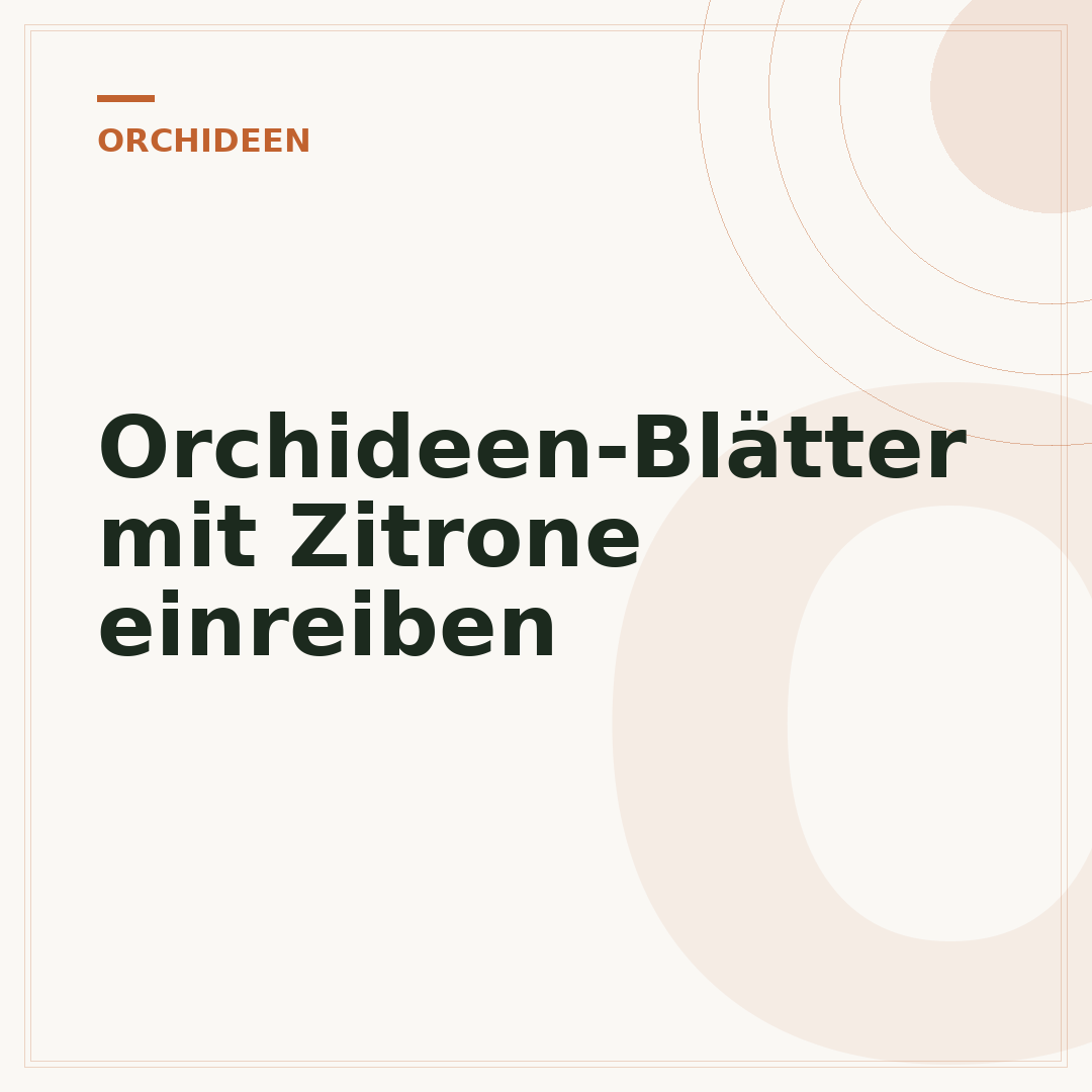 Orchideen-Blätter mit Zitrone einreiben