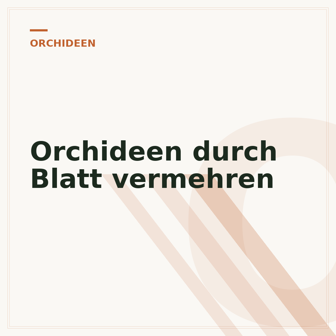 Orchideen durch Blatt vermehren