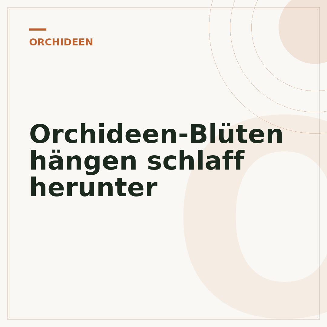 Orchideen-Blüten hängen schlaff herunter