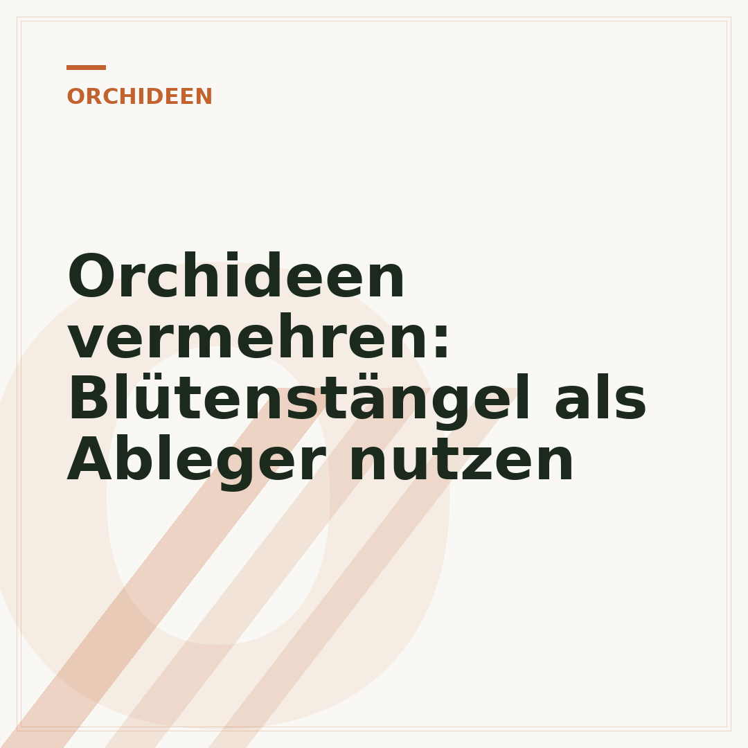 Orchideen vermehren: Blütenstängel als Ableger nutzen