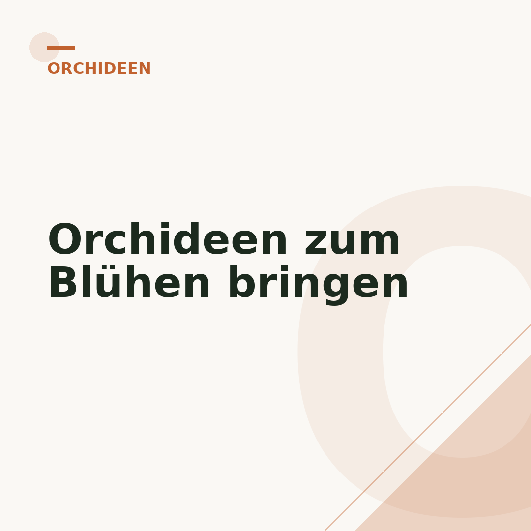 Orchideen zum Blühen bringen