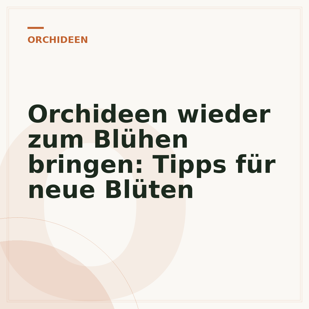 Orchideen wieder zum Blühen bringen: Tipps für neue Blüten