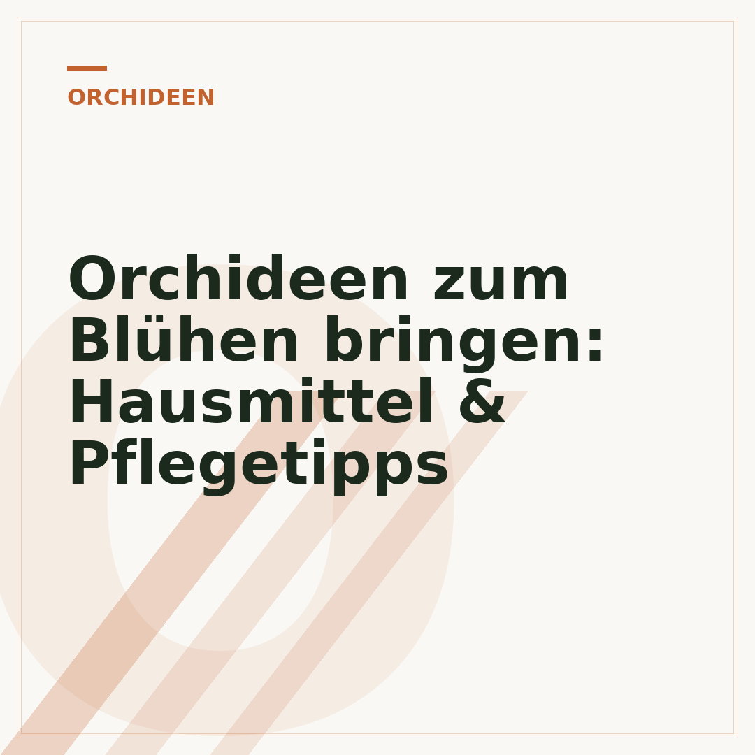 Orchideen zum Blühen bringen: Hausmittel & Pflegetipps