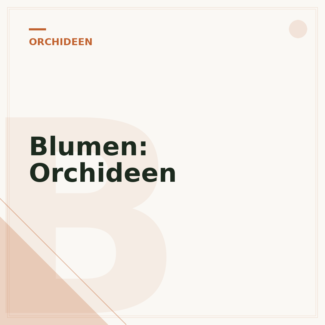 Blumen: Orchideen