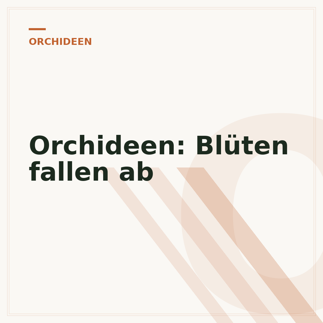 Orchideen: Blüten fallen ab