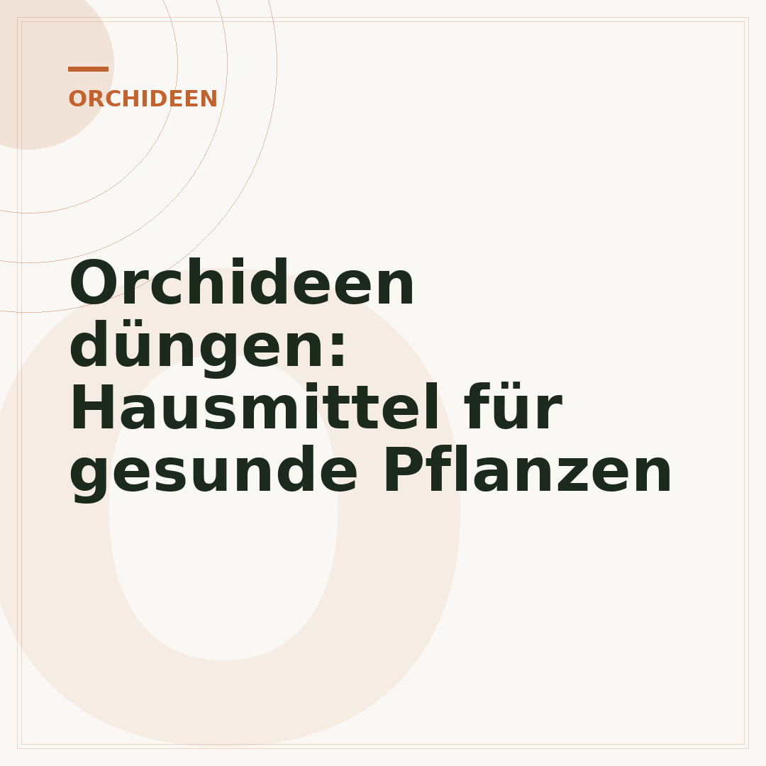 Orchideen düngen: Hausmittel für gesunde Pflanzen