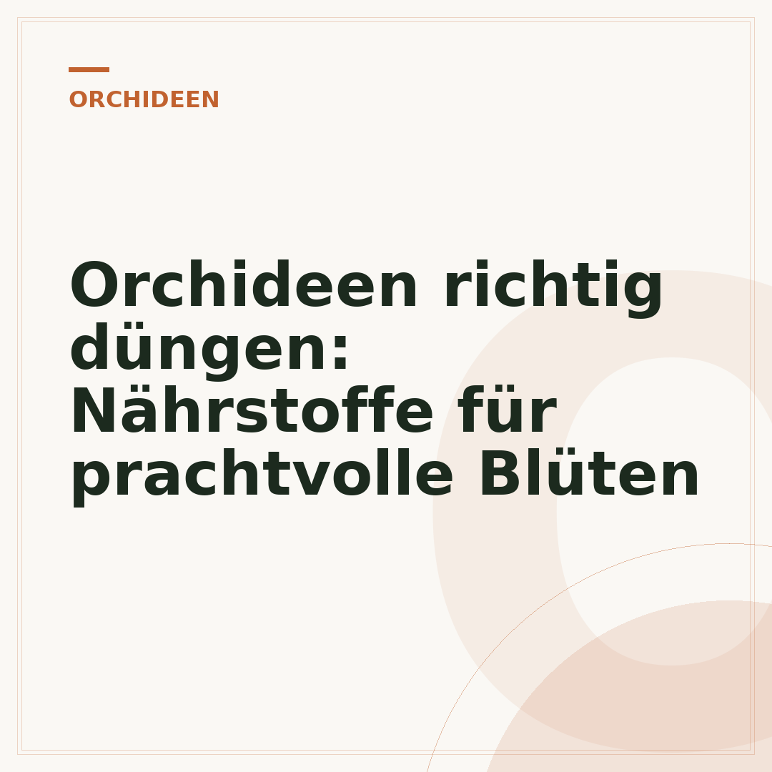 Orchideen richtig düngen: Nährstoffe für prachtvolle Blüten