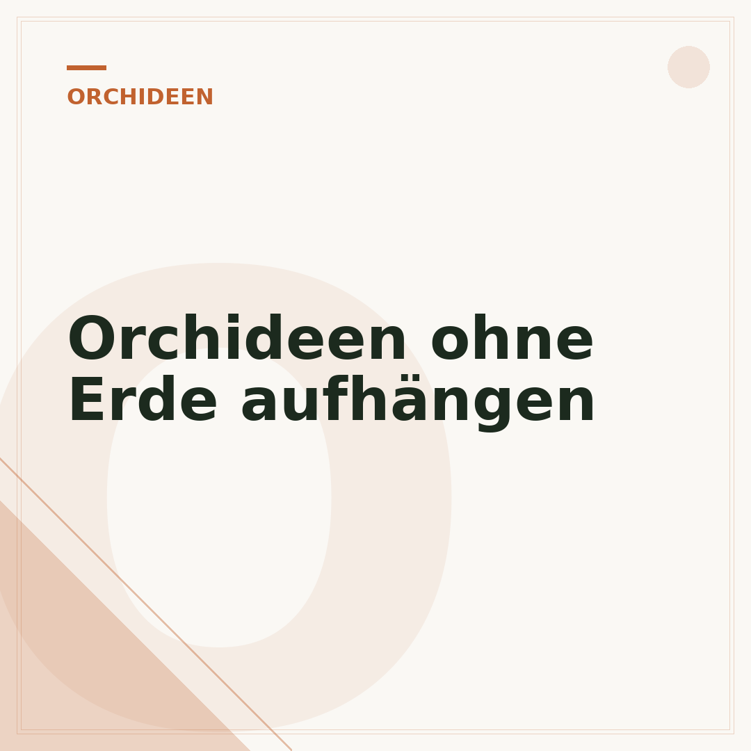 Orchideen ohne Erde aufhängen